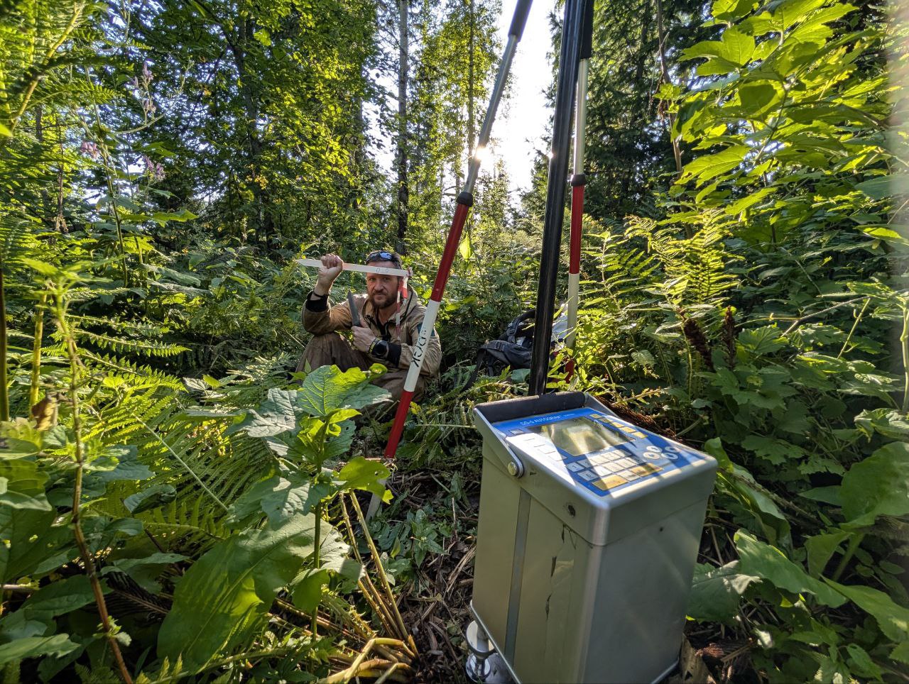 Field-2025: Altai – geophysics, jungles, and of course... bears – where would we be without them?
