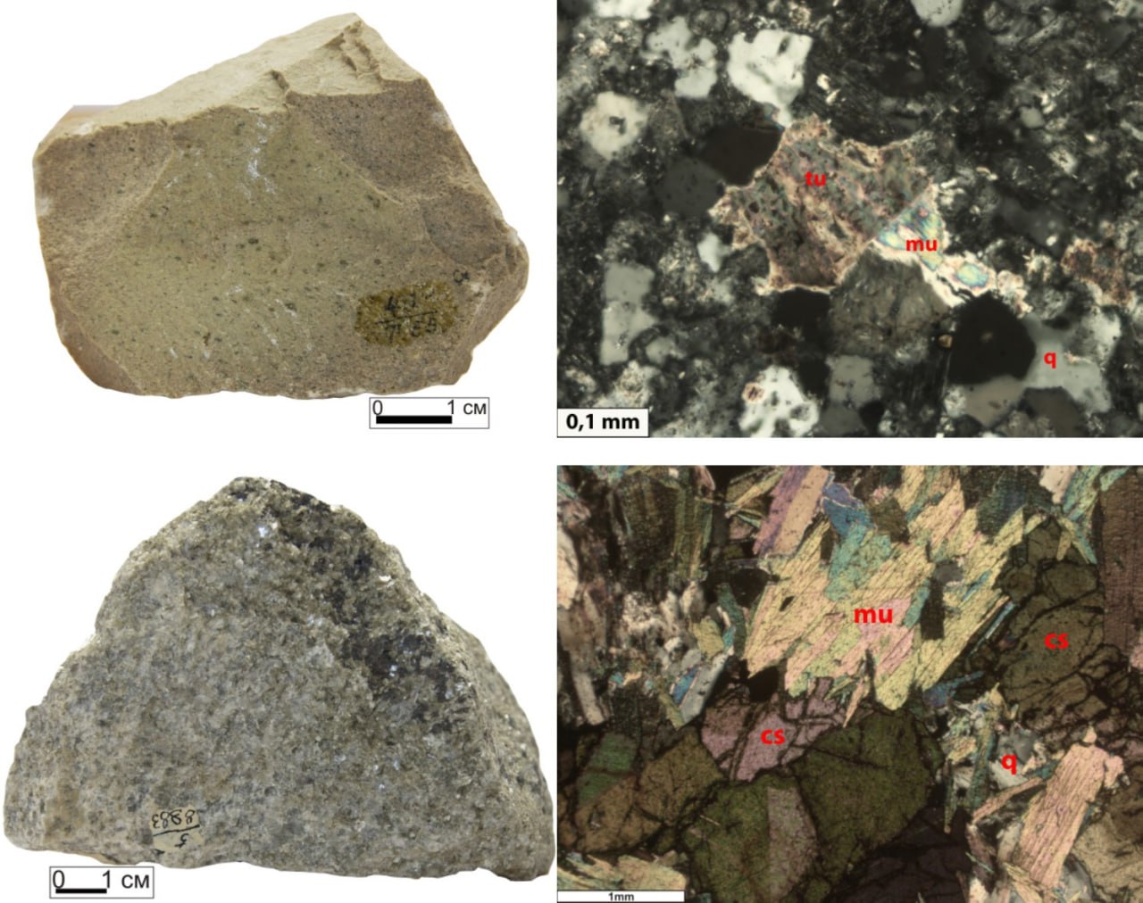 ELECTRONIC REFERENCE GUIDE AND IDENTIFIER for ore-associated metasomatites мdeveloped at the Centre of Predictive Metallogenic Studies of the Karpinsky Institute